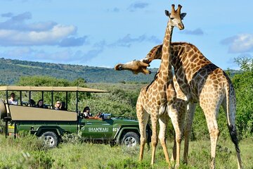 Full Day Durban City & Tala Game Reserve Tour