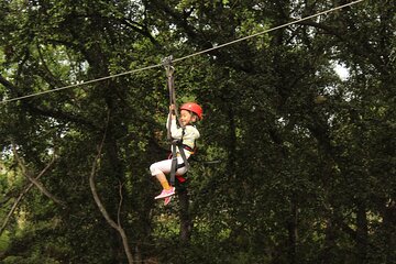 3 Zipline Adventure with Waikiki Transportation