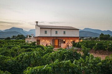 Wine tasting at sunset including pick-up from the north coast