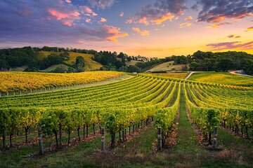 Discover Kakheti: Winery Khareba, Signagi, Gremi, Bodbe Monastery