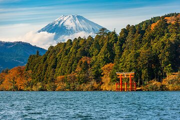 Mount Fuji and Hakone Private Day Trip by Car/Van - in English