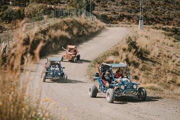 1 Hour Buggy Safari Experience in the Mountains of Mijas with Guide