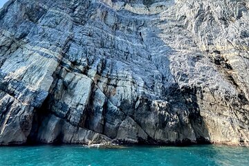 Guided Boat Tour of the Gulf of Poets