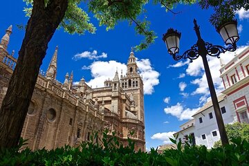 Private Guided Tour of Seville Cathedral Includes Tickets