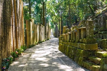 Kyoto to Mt. Koya One Day Walking Tour