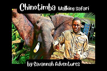 Chinotimba Township Tour in 4wd