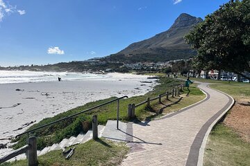 Full-Day Private Cape Town’s Beaches Tour