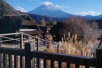 Mt. Fuji Private Day Trip from Tokyo 