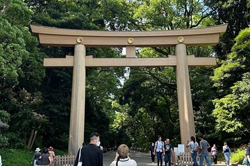 Private Tour in Meiji Shrine with Service and Tea Ceremony