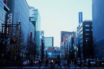 Private Half Day Guided Walking Tour of Shinjuku 