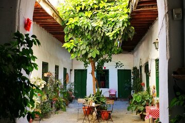 Flamenco in Seville: Tour through its History + Dance Class 