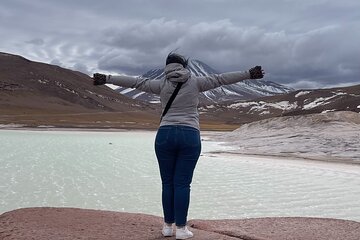 Altiplanic Lagoons & Piedras Rojas Tour from San Pedro de Atacama