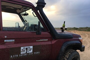 YALA National Park Safari with Transfer Mirissa to ArugamBay