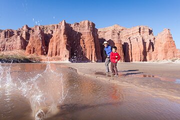 Cafayate, Vineyards and Calchaquies Valleys Tour from Salta