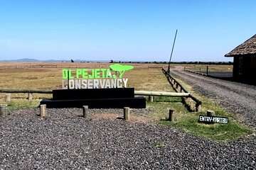 Private Day Tour to Olpajeta Conservancy From Nairobi