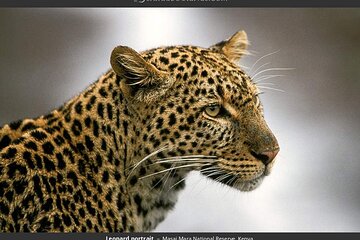 3-Day Masai Mara Budget Safari-Group Joining Tour