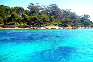 Marine Escape: Snorkeling and Relaxation in the Lérins Islands