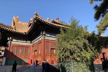 Beijing: The Yonghe Lama Temple Entry Ticket