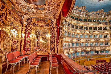 Discover La Fenice: Guided Tour of the Historic Theater