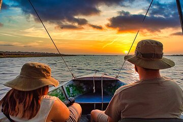 Shared Chobe Land and River Safari Day Trip from Victoria Falls