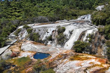 Waitomo Cave & Orakei Korako Small Group Tour From Auckland