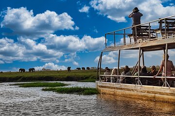 Chobe Botswana Day Trip River and Land Safari from Victoria Falls