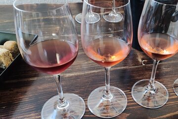 3-Hour Shared Greek Wine Tasting 