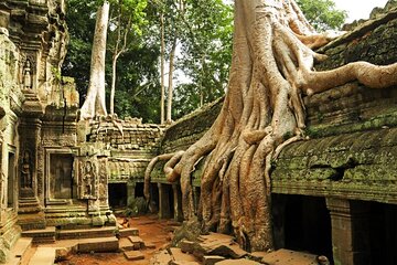 Exclusive Angkor temples and Small group temples tours 