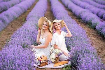 Brihuega Lavender Fields Guided Tour From Madrid