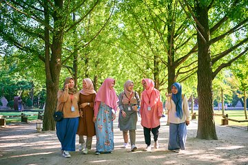 Private Halal Tour of Nami Island, Soyanggang Skywalk & Coex Mall