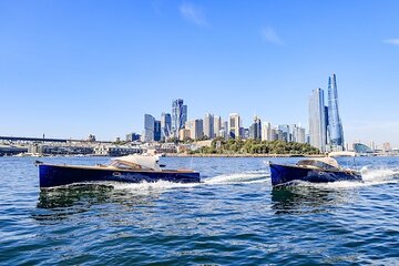 Private Classic Wooden Speedboat Sydney Harbour Cruise