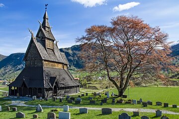 Private Tour Guided Fjord and Glacier from Bergen