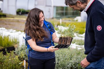 1 Hour Shared Tree Nursery Tour at Dundreggan