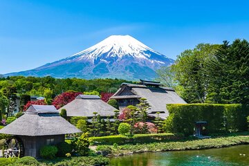 Mt Fuji & Hakone One Day Tour departure from Tokyo with lunch 