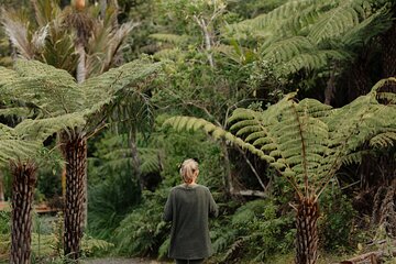 Native Forest Farm Experience Nourishing Nature in Auckland