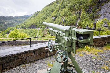 Full Day Private Tour Fjords and Waterfalls of Hardanger Norway