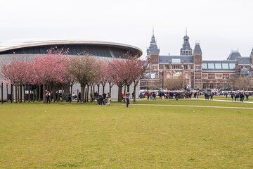 Private Tour Van Gogh Museum