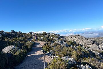 Cape Town Table Mountain Cableway Robben Island Tour with Ticket