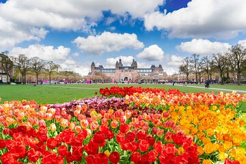 Private Tour Van Gogh & Rijksmuseum