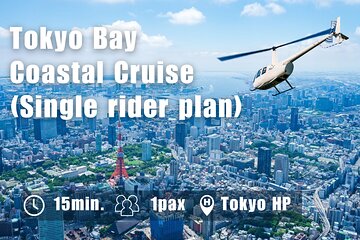 【Single rider plan】Tokyo Bay Coastal Cruise(15min)