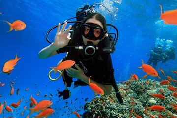 Introduction: Diving from the Reef in Sharm El Sheikh