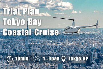 [10 Minutes] Trial Plan: Helicopter Flight Over Tokyo Bay