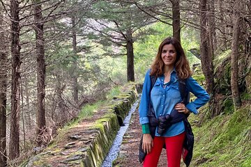 Porto: challenging trail to Marão mountain with local picnic 