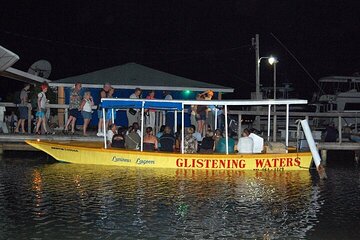 Luminous Lagoon Tour