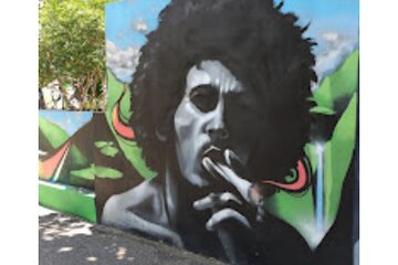 Bob Marley Museum and Devon House Private Tour from Montego Bay