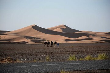 Shared Transport Minibus From Merzouga to Fez 1 Day Transfer 