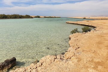Sharm El Sheikh : White Island and Ras Mohamed Trip