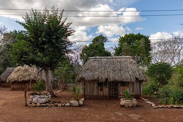 4x1 tour:Tulum/Coba,Cenote,Mayan Village& 5th Av Playa del Carmen