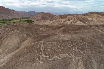 Nazca and Palpa Lines Tour by Land from Ica 