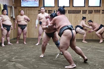 Tokyo Sumo Wrestling Morning Practice Tour with Private Transfer